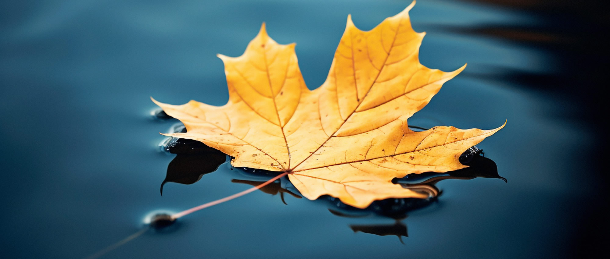 FreeHomeHeating Portal